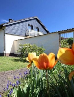 GARTENFREUDEN und viel, viel Platz ...RESERVIERT - Modautal
