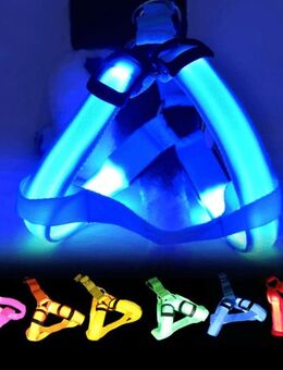 LED Hundegeschirr Brustgeschirr Hundeleine Leine Geschirr Hund leuchtend Sicherheit Gassi - Oldenburg