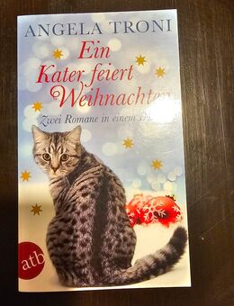 Ein Kater feiert Weihnachten - Reichenbach (Fils)