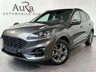 Ford Kuga 2.5 Plug-In Hybrid ST-Line NAV+LED+AHK+PANO - Wardenburg