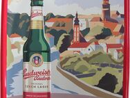 Budweiser Brauerei - Dékuji - Blechschild 29,5 x 21 cm - Doberschütz