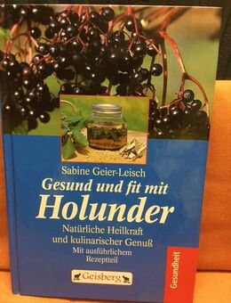 BUCH -GESUND UND FIT MIT HOLUNDER *HEILKRAFT & REZEPTE* - Großostheim