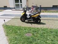 Motorola TGB bullet wegen auswandern zu verkaufen - München Moosach