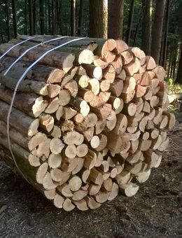 Brennholz zu verkaufen - Seebach (Baden-Württemberg)