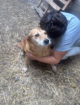 Ein Körbchen für VULPI - Langenhagen