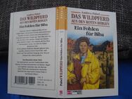Das Wildpferd aus den roten Bergen Ein Fohlen für Biba A.Pabel - Friedrichsdorf