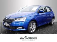 Skoda Fabia, 1.0 TSI, Jahr 2021 - Radolfzell (Bodensee)