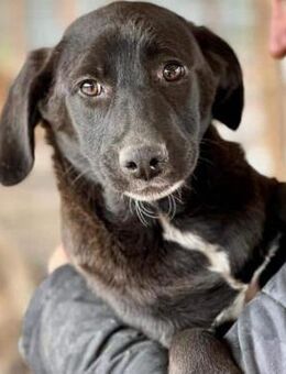 DUANA ~ Träumchen für jedermann - Duisburg