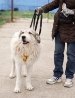 Grappa wünscht sich eine Familie - München