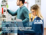 (Junior-)Vertriebsingenieur für Pumpen (m/w/d) im Vertriebsinnendienst - Meckesheim