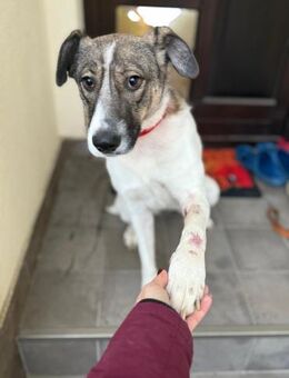 Lucy wartet noch immer - Neustadt (Rübenberge)