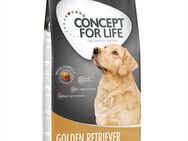 12 kg Concept for Life zum Sonderpreis! - Golden Retriever