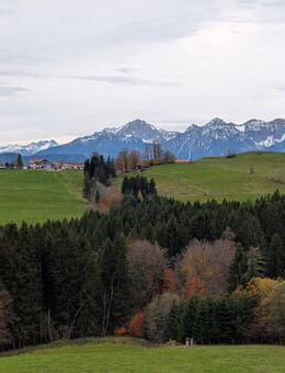 Suche Pferd für Reitbeteiligung - Biessenhofen