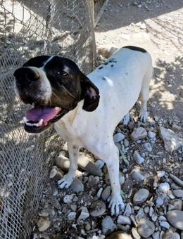 Feu sensibel und temperamentvoll - Oberhausen