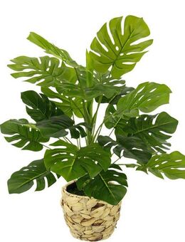 Kunstpflanze Monstera, I.GE.A., Höhe 46 cm, Mit Übertopf künstlicheSplitphilo-Pflanze