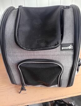 Haustier Rucksack - Hanau (Brüder-Grimm-Stadt) Innenstadt