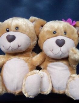 Teddy Bär Pärchen Plüsch Stofftier - Nürnberg