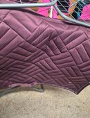 Wintec 2000 Sattel gerne komplettes Set in 76857