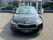 Skoda Octavia Combi Ambition - Viersen