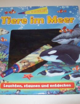 Tiere im Meer - Erwitte