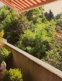 3 ZKB auf der Irgenhöhe Haus 20 mit idyllischen Ausblick - Saarbrücken