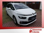 Citroen Grand C4 Picasso / SpaceTourer 1.5 HDi 7-Sitzer - Potsdam