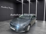 Skoda Octavia Combi IV 2.0 TDI 110kW DSG Style - Hamm