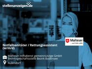 Notfallsanitäter / Rettungsassistent (w/m/d) - Aulendorf