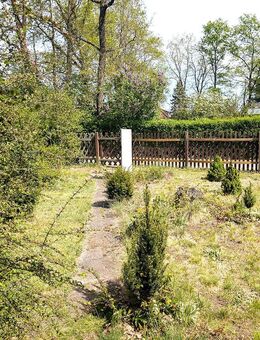 Natur. Ruhe. Möglichkeiten. - Ferienhaus mit Herz und Platz für Ideen (kein Pachtland!!!) - Muldestausee