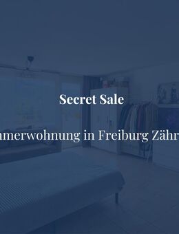 Große 1 Zimmerwohnung mit traumhaftem Ausblick - Freiburg (Breisgau)