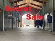 Secret Sale Reitgestüt nördl. von Berlin Top Ausstattung - 26 ha Koppeln - Liebenwalde