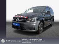 VW Caddy, 2.0 TDI EcoProfi Kasten, Jahr 2019 - Husum (Schleswig-Holstein)