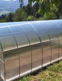 Gewächshaus Lumora 3x4 / 3x6 / 3x8 / 3x10 m - stabiles Treibhaus Tomatenhaus mit Stahlrahmen & 6mm Polycarbonat, inkl. kostenfreier Lieferung! - Ludwigsfelde