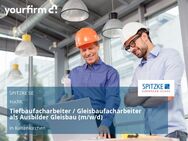 Tiefbaufacharbeiter / Gleisbaufacharbeiter als Ausbilder Gleisbau (m/w/d) - Kaltenkirchen