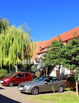 3- Raum-Wohnung in Sangerhausen - Sangerhausen