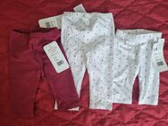 3 Baby Leggings in 3 Größen: 56, 62, 68. Neu mit Etikett! - Unkel