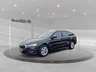 Skoda Octavia, 1.5 TSI Combi Ambition 2xKlima, Jahr 2021 - Bad Arolsen