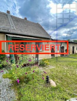 ZWEI-SEITEN-HOF - EINE IDYLLE FÜR WOHNEN UND TIERLIEBHABER - Heideblick