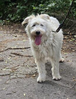 Menschenbezogen + freundlich = RINA ♥️ - München