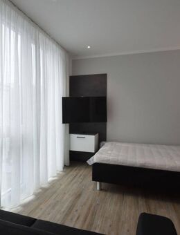 Möbliertes Studenten-Apartment mit Schreibtisch, 1 Zimmer für 1 Person, zentrale Lage - ab 01.09.2025 - Offenbach (Main)