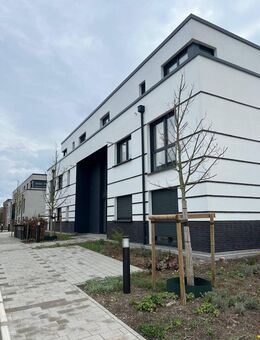 3 Raum Wohnung im Erdgeschoss mit Terrasse - Bielefeld