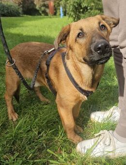 Edd ein kleiner Sonnenschein - Obertshausen