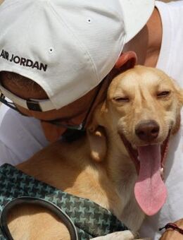 Blu, agil, verspielt, offen - Westerholt