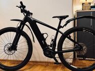 EBIKE Offroad Pro MTB 29“ erst 250km - Arnsberg