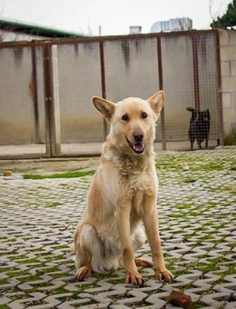 MATEL - gemeinsam dem Glück nähern - Overath