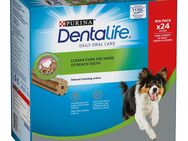 PURINA Dentalife Tägliche Zahnpflege-Snacks für mittelgroße Hunde - 24 Sticks (8 x 69 g)