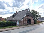 Historisches Reetdachhaus am Elbufer (vermietet) - Tespe