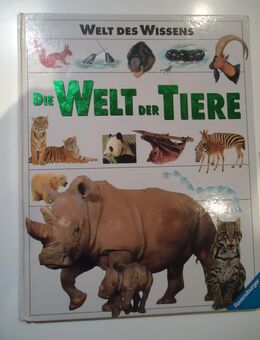 Kinderbuch - Die Welt der Tiere - Freilassing
