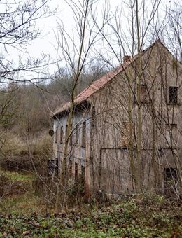 Lost Place ............. hauchen Sie diesem Ort neues Leben ein ! - Eisenberg (Thüringen)