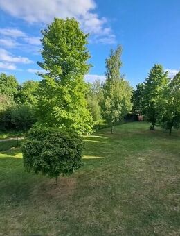 60m²- 2-Zimmer-Wohnung mit Balkon am Bürgerpark. Blick ins Grüne ! - Wernigerode